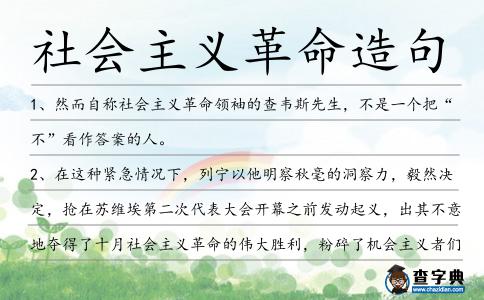 社會(huì)主義革命造句
