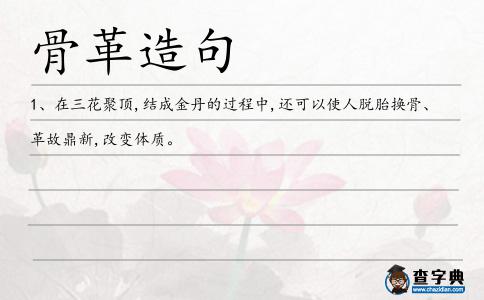 骨革造句