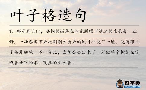 葉子格造句