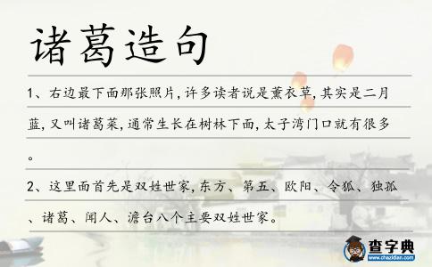 諸葛造句