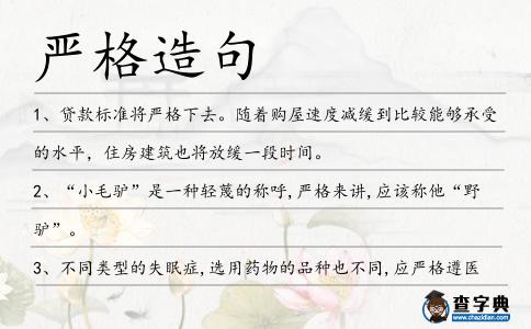 嚴(yán)格造句