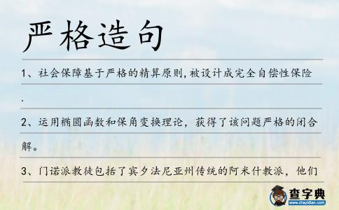 嚴格造句