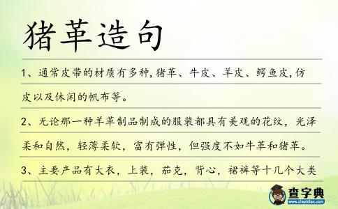 豬革造句