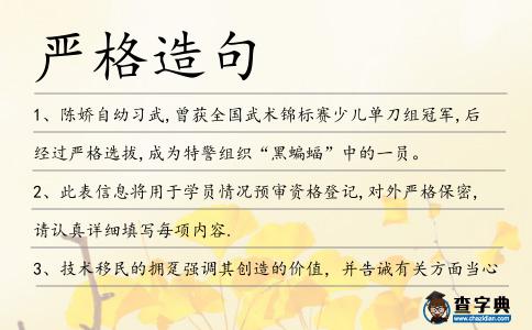 嚴(yán)格造句
