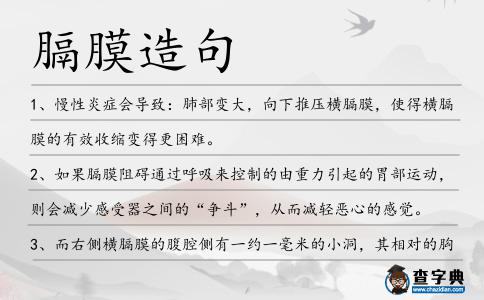 膈膜造句