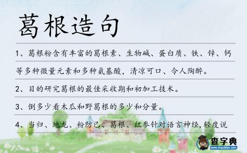 葛根造句