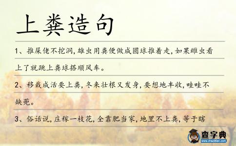 上糞造句