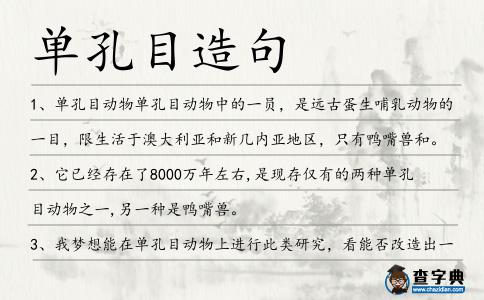 單孔目造句