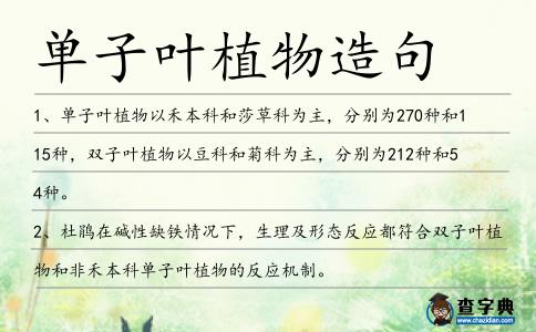 單子葉植物造句