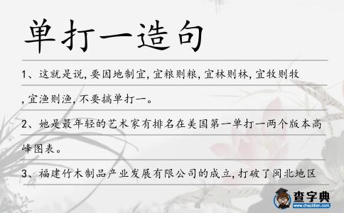 單打一造句