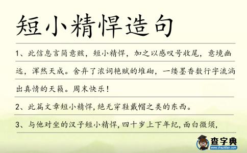 短小精悍造句