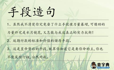 手段造句
