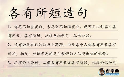 各有所短造句
