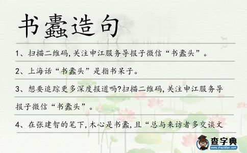 書蠹造句