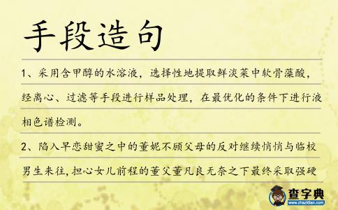 手段造句