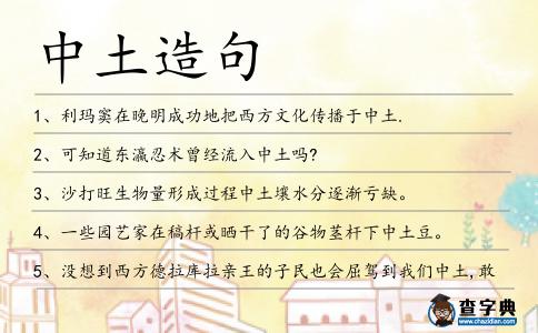 中土造句