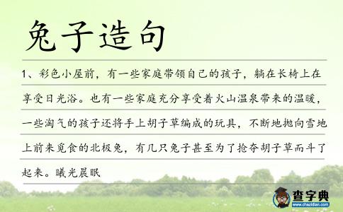兔子造句