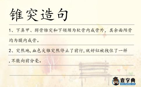 錐突造句