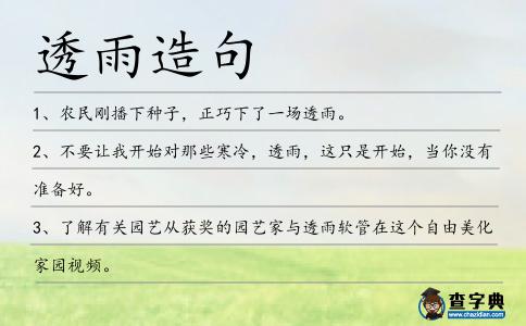 透雨造句