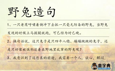 野兔造句