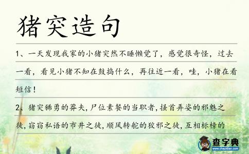 豬突造句