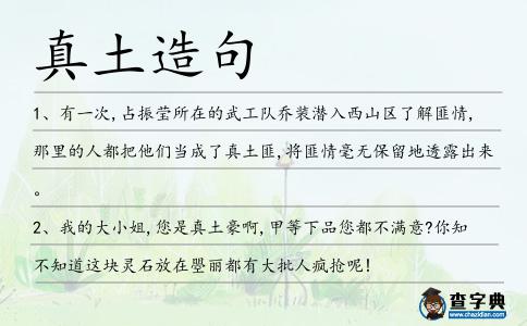 真土造句