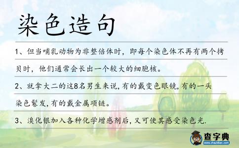 染色造句