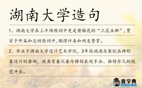 湖南大學造句