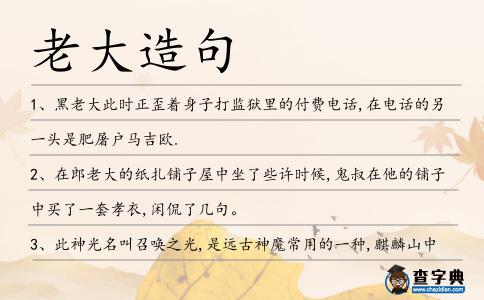 老大造句