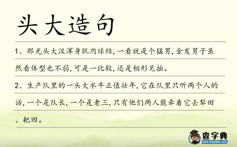 頭大造句