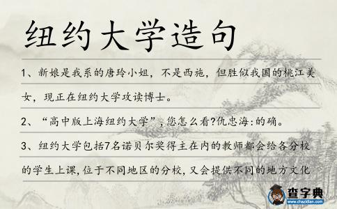 紐約大學造句
