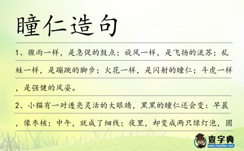 瞳仁造句