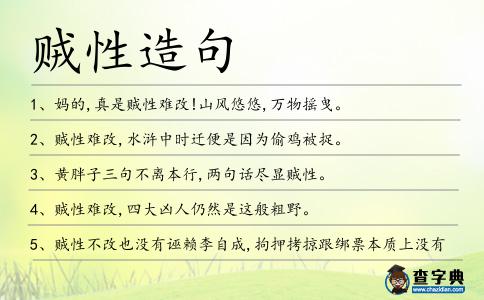 賊性造句