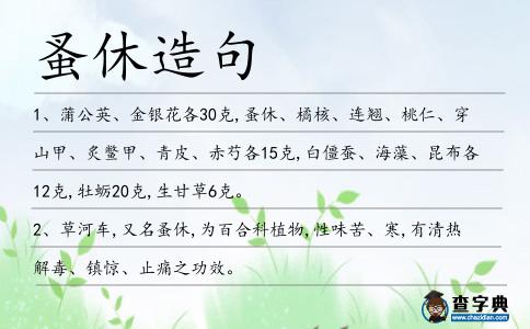 蚤休造句