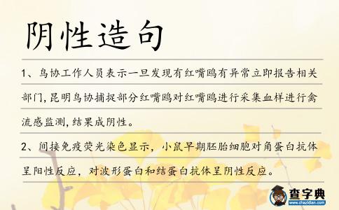 陰性造句