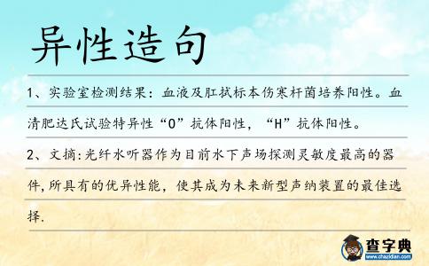 異性造句