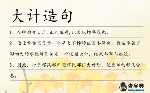 大計(jì)造句