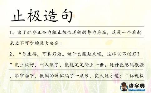 止極造句