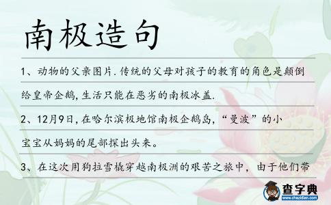 南極造句