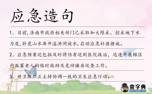 應(yīng)急造句