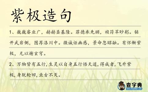 紫極造句