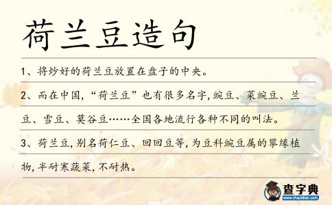 荷蘭豆造句