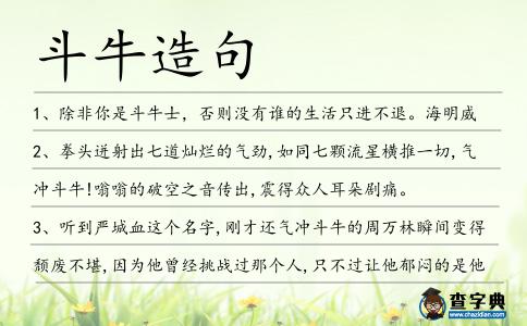 斗牛造句