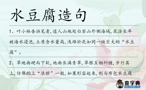 水豆腐造句