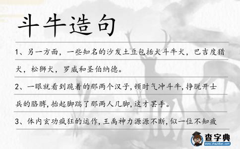 斗牛造句