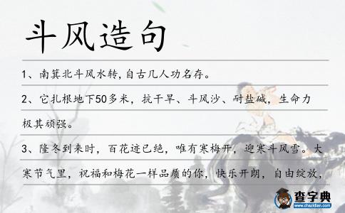 斗風造句