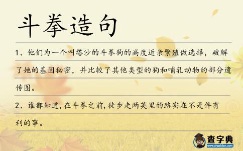 斗拳造句