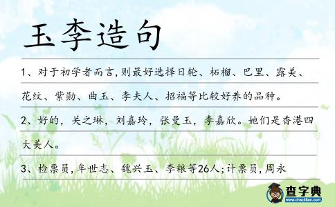 玉李造句
