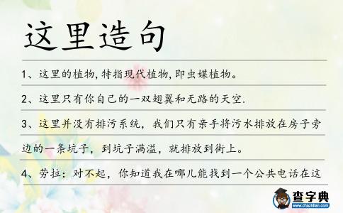 這里造句