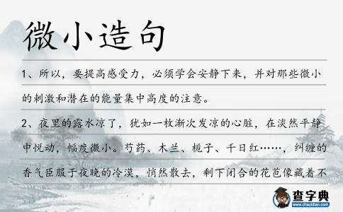 微小造句